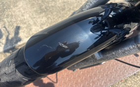 HARLEY XL883 2005 CAM