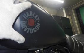 HARLEY XL883N 2019