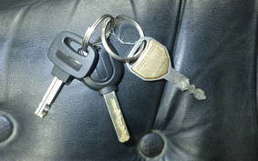 HONDA STEED 400 1994 NC26