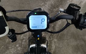 OTHER  BENELLI GOCCIA GEV600 ..