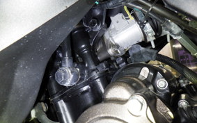SUZUKI ｼﾞｸｻｰ250SF 2013 ED22B
