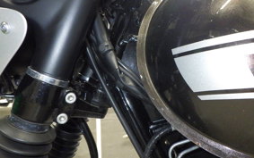 KAWASAKI W800 CAFE 2019 EJ800B