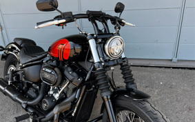 HARLEY FXBBS 2021 YYK