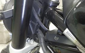 HUSQVARNA SVARTPILEN 401