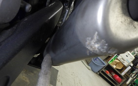 YAMAHA YZF-R25 RG10J