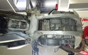 HONDA CRF250X