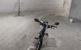 OTHER MINI BIKE ..