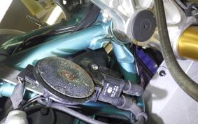 DUCATI PAUL SMART 1000 2007