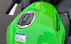 KAWASAKI NINJA 250 EX250Y