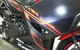KAWASAKI NINJA 250 2 2019 EX250P