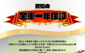 KAWASAKI D TRACKER 125 LX125D