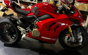 DUCATI PANIGA-REV4S 2020 DA00J