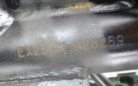 KAWASAKI NINJA 250R EX250K