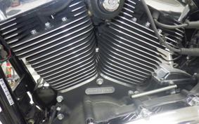 HARLEY FXDL 1580 2015