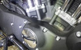 HARLEY XL1200X 2018