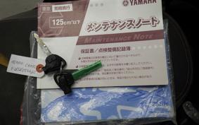 YAMAHA CYGNUS 125 XSR 2 SE44J