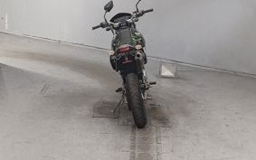 KAWASAKI D-TRACKERX LX250V