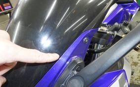 YAMAHA YZF-R25 2014 RG10J