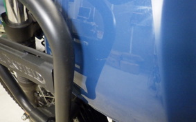 OTHER +ENFIELD ﾋﾏﾗﾔﾝ 2024