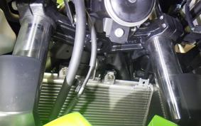KAWASAKI NINJA 400 2022 EX400G