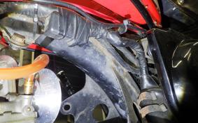 HONDA MONKEY 2013 Z50J