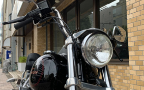 HARLEY HARLEY FXDL1580 2002 GDV