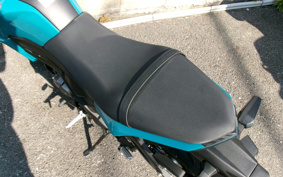 KAWASAKI Z125 PRO BR125H