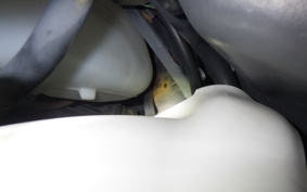HONDA GYRO CANOPY TA03