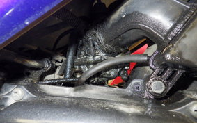 SUZUKI ADDRESS 110 CF11A