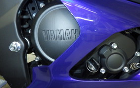 YAMAHA YZF-R15 2006 RG86J