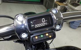 HARLEY FXBR1920 2025