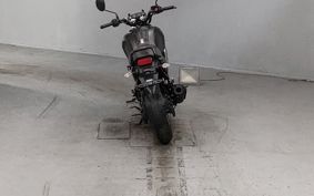 YAMAHA FZ-X RG73
