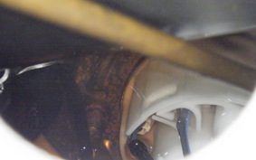 TRIUMPH STREET TRIPLE RS 2021