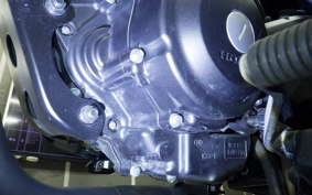 HONDA REBEL 250 2018 MC49