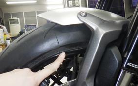 TRIUMPH SPEED TWIN 2024