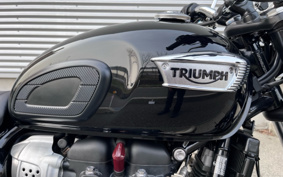 TRIUMPH BONNEVILLE T100 2025 D4BG25