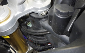 TRIUMPH TIGER 800 2012