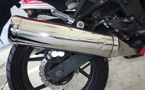 KAWASAKI NINJA 250R EX250K