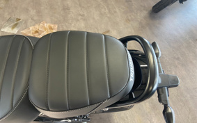 TRIUMPH SCRAMBLER 400XC 2025 T13761