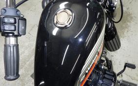 HARLEY XL1200XS 2019