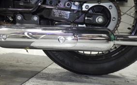 KAWASAKI W800 CAFE 2021