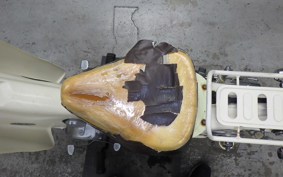 HONDA LITTLE CUB E AA01