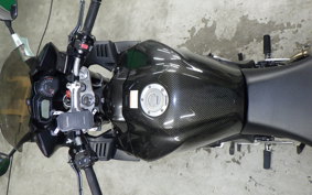 YAMAHA FZ1 FAZER 2009 RN21J