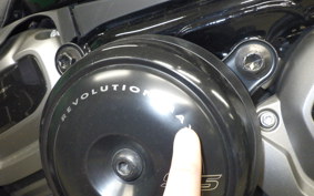 HARLEY RH975 2023