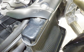 TRIUMPH STREET TRIPLE 2009