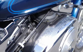 HARLEY FXDL 100th 2002 GDV