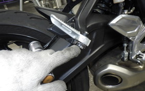 TRIUMPH TRIDENT 660 2024