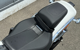 HARLEY  HARLEY FXBR 2025 YEZ