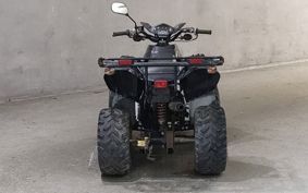 OTHER  BUGGY 50CC ..