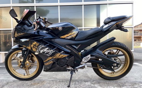 YAMAHA YZF-R15 RG06